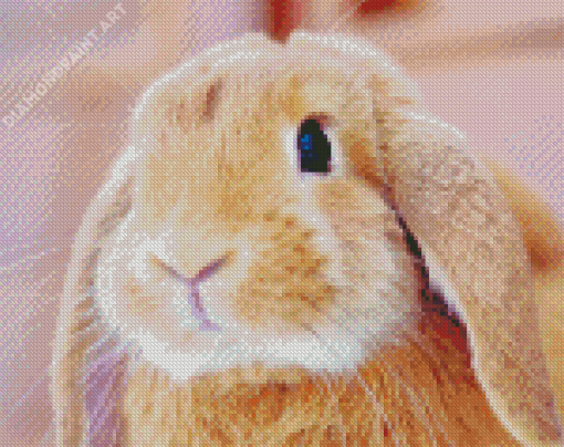 Cute Brown Female Bunny Diamond Painting