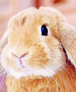 Cute Brown Female Bunny Diamond Painting