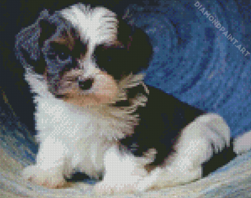 Cute Shih Tzu Black And White Diamond Painting