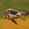 Flying Kestrel Diamond Painting