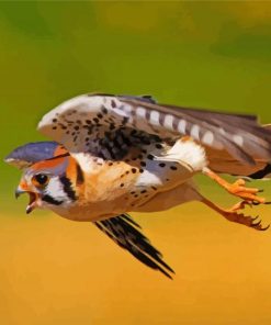 Flying Kestrel Diamond Painting