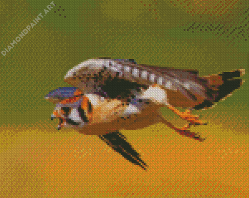 Flying Kestrel Diamond Painting