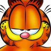 Garfield Face Diamond Painting