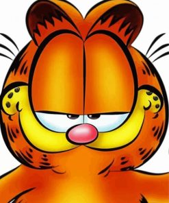 Garfield Face Diamond Painting