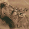 Lion And Lioness Diamond Painting