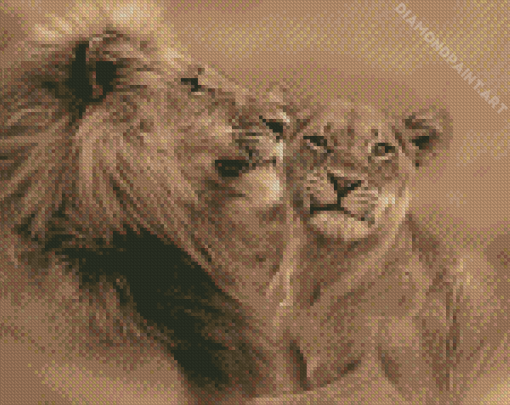 Lion And Lioness Diamond Painting