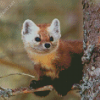 Cute Marten Animal Diamond Painting