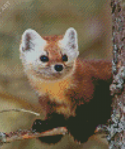 Cute Marten Animal Diamond Painting