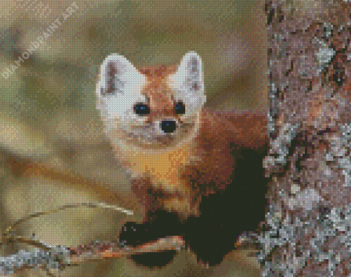 Cute Marten Animal Diamond Painting