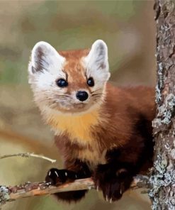 Cute Marten Animal Diamond Painting