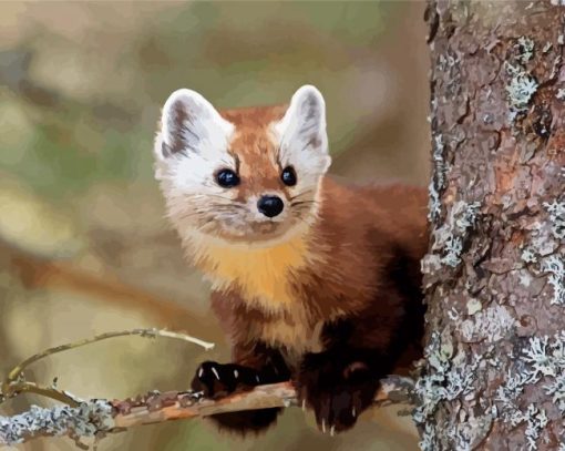 Cute Marten Animal Diamond Painting