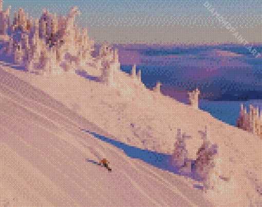 Newfoundland Skiing Diamond Painting