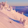 Newfoundland Skiing Diamond Painting