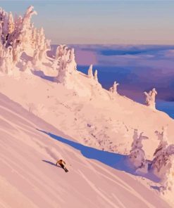 Newfoundland Skiing Diamond Painting