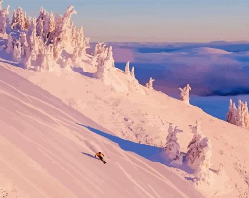 Newfoundland Skiing Diamond Painting