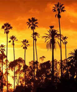 Palm Trees California Sunset Silhouette Diamond Painting