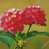 Pink Lantanas Flowers Diamond Painting