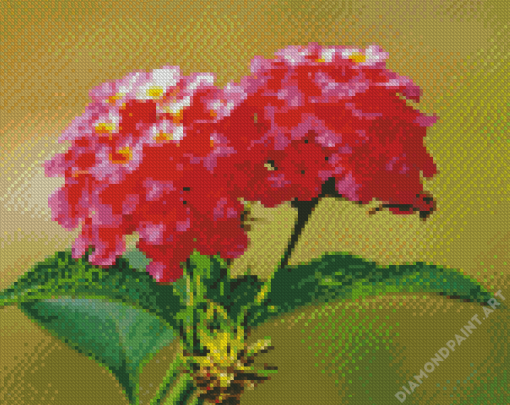 Pink Lantanas Flowers Diamond Painting