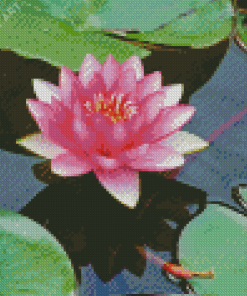 Pink Lotus Blossom Diamond Painting