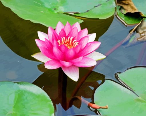 Pink Lotus Blossom Diamond Painting