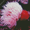 Pink Sea Anemone Diamond Painting