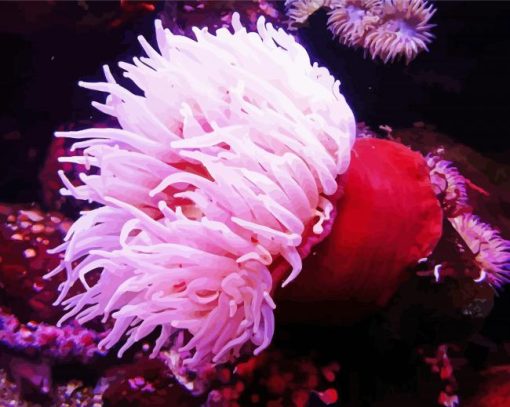 Pink Sea Anemone Diamond Painting