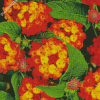 Red Orange Lantanas Flowers Diamond Painting