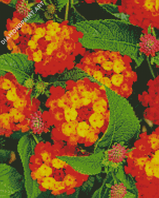 Red Orange Lantanas Flowers Diamond Painting