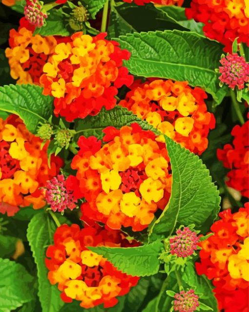 Red Orange Lantanas Flowers Diamond Painting