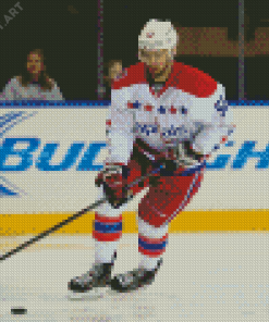 The Ice Hockey Player Mike Green Diamond Painting