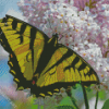 White Lantanas Flowers With Yellow Butterfly Diamond Painting