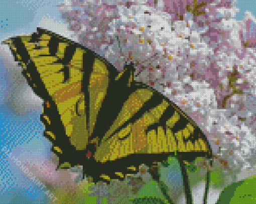 White Lantanas Flowers With Yellow Butterfly Diamond Painting