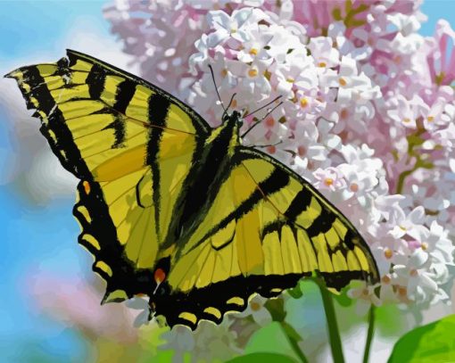 White Lantanas Flowers With Yellow Butterfly Diamond Painting