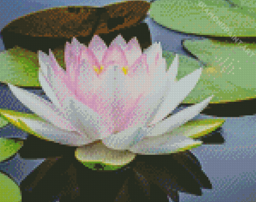 White Lotus Blossom Diamond Painting