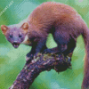 Wild Marten Animal Diamond Painting