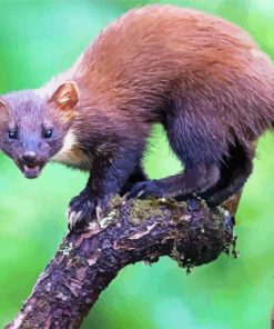 Wild Marten Animal Diamond Painting