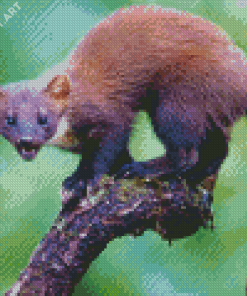 Wild Marten Animal Diamond Painting