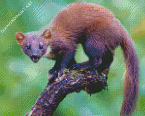 Wild Marten Animal Diamond Painting