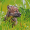 Wolf Baby Cub Diamond Painting