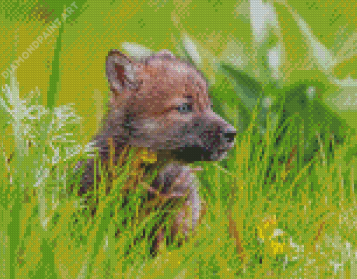 Wolf Baby Cub Diamond Painting