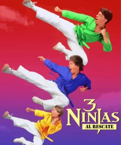 3 Ninjas Movie Poster Diamond Painting