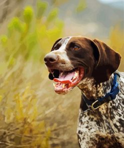 Aesthetic German Shorthaired Pointer Diamond painting