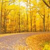 Autumn Golden Leaves Promenade Diamond Painting