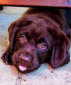 Baby Chocolate Lab Diamond Painting