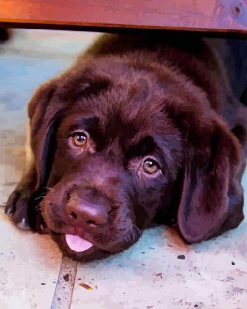 Baby Chocolate Lab Diamond Painting