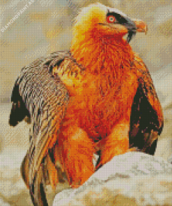 Bearded Vulture Diamond Painting