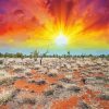 Beautiful Sunset In Australian Outback Diamond Painting