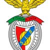 Benfica Log Diamond Painting