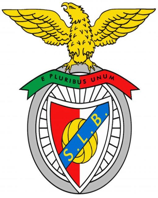 Benfica Log Diamond Painting