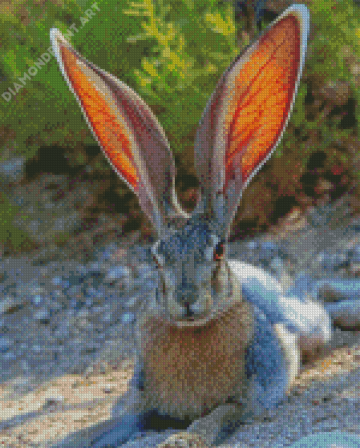 Big Eared Bunny Diamond Painting